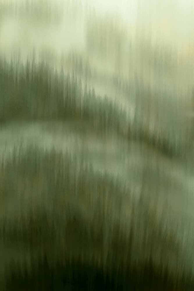 霧の森の静寂 作： 