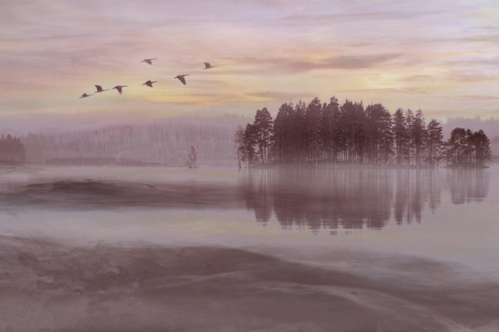 霧の湖の鳥の群れ 作： 
