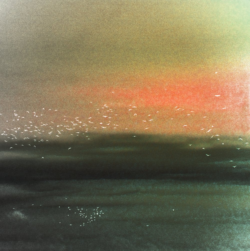 海の鳥　赤い空 作： 