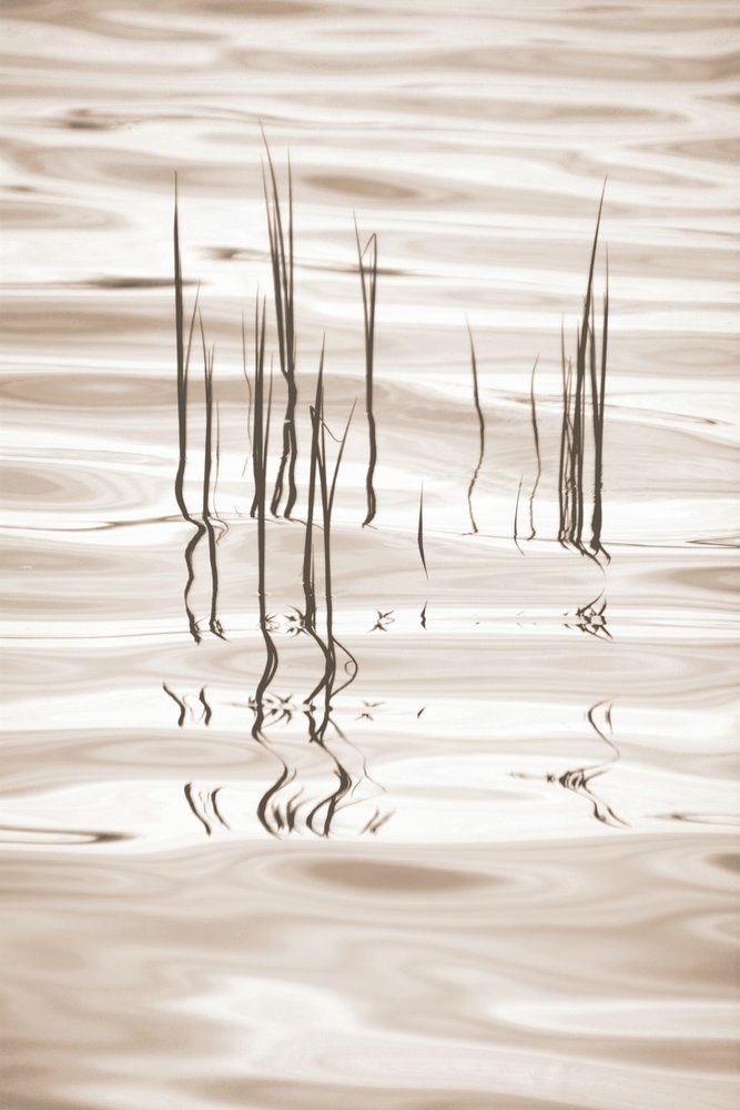  作： 