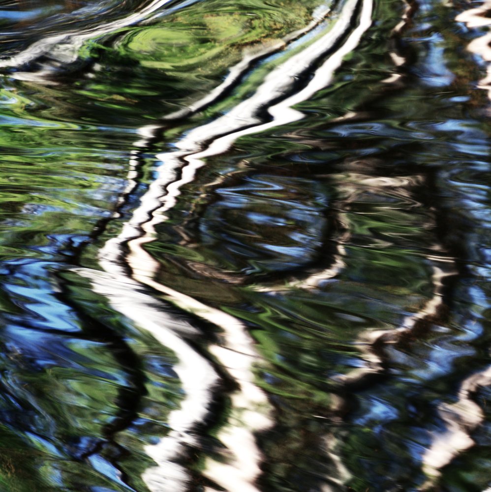 鮮やかな水面の映り込み 作： 