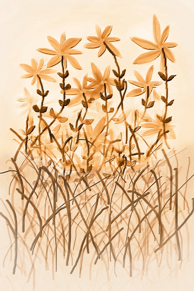 温もりのあるセピア色の植物学 作： 