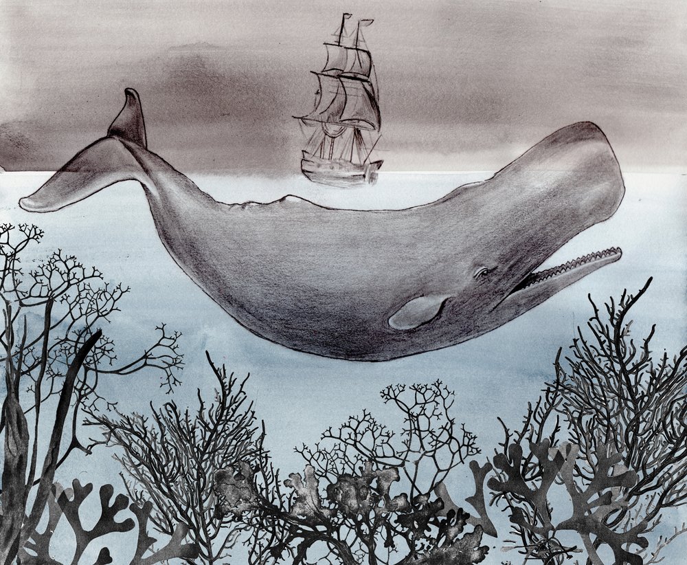 深海クジラ船 作： 
