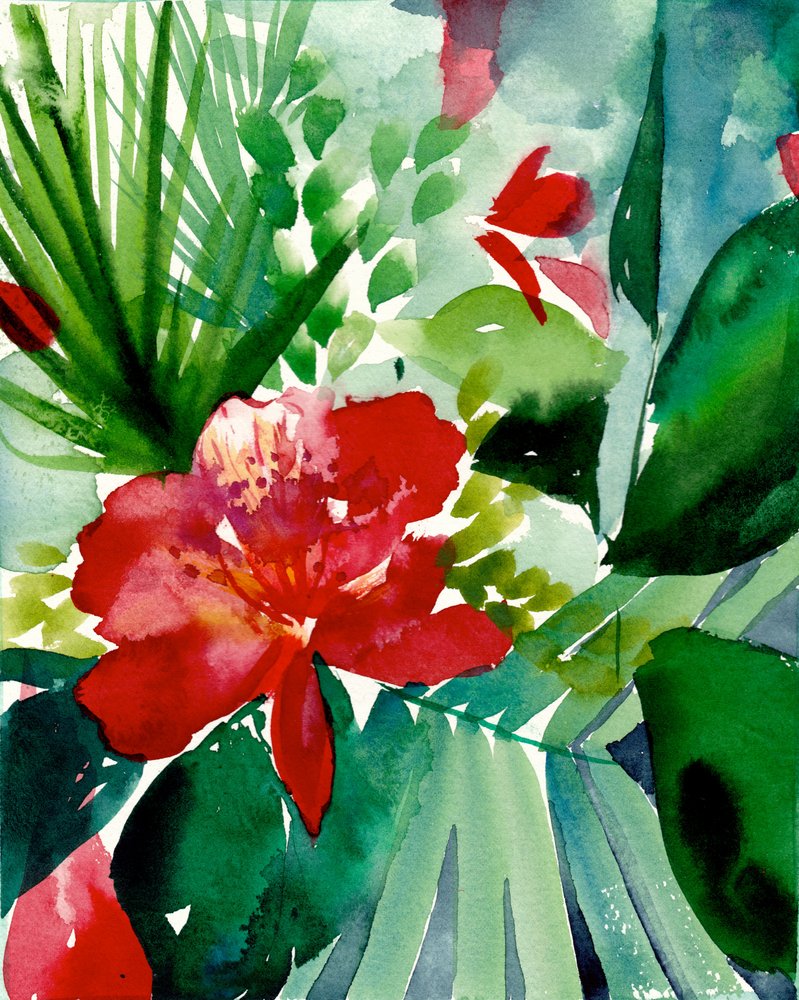 鮮やかな熱帯の花々 作： 