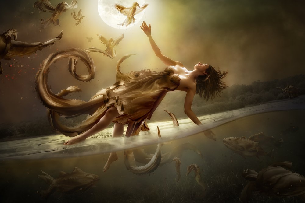 幻想的な月の飛行 作： 