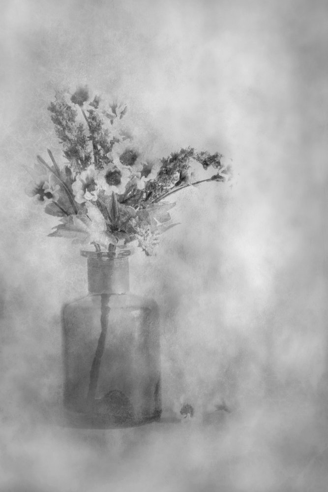 夢のような白と黒の花 作： 