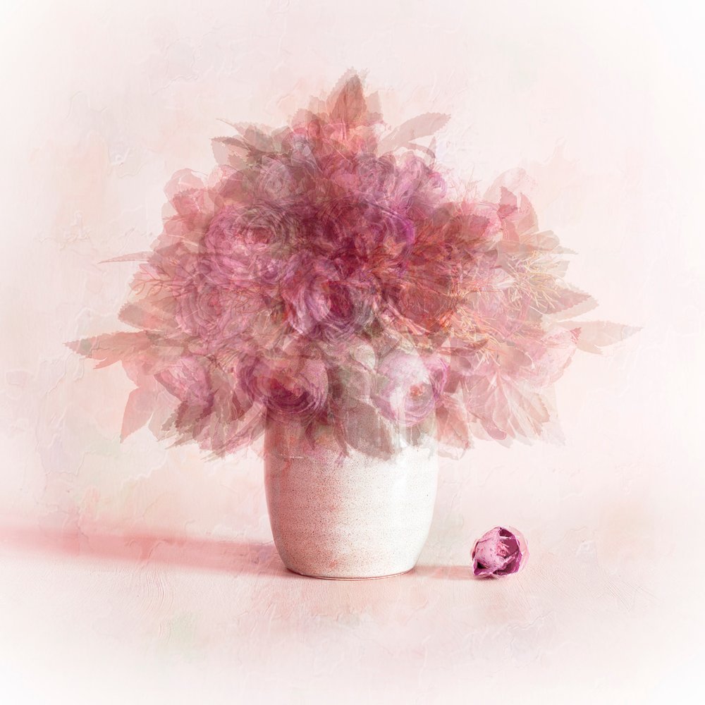 夢のようなピンクの花 作： 