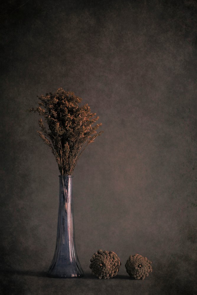 乾燥植物の静物画 作： 