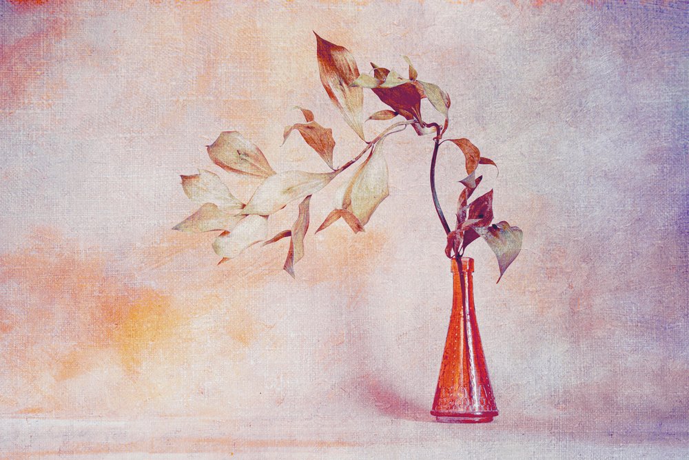 色あせた葉とオレンジ色の花瓶 作： 