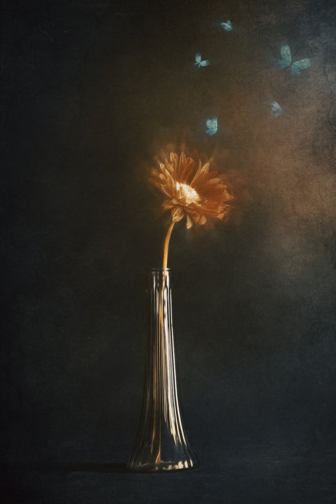 光る花の蝶々 作： 
