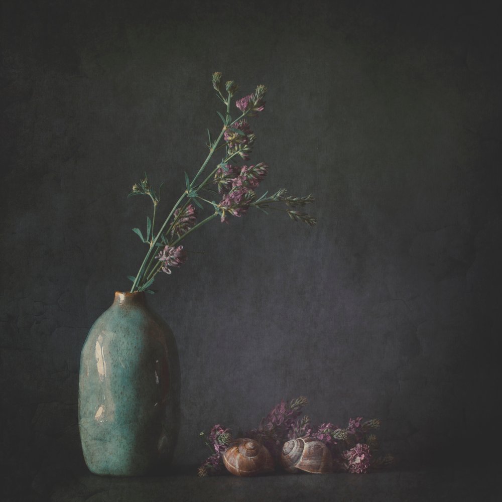 ムーディな植物の静物画 作： 