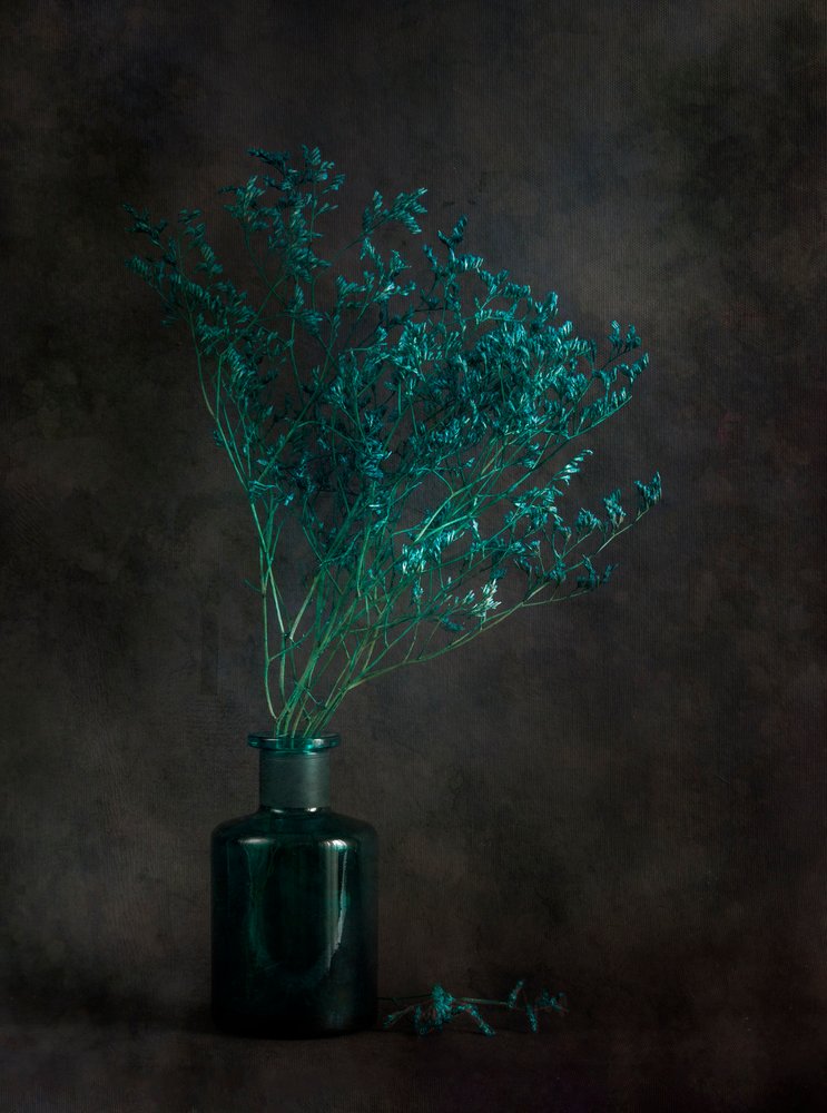 ムーディな植物の静物画 作： 