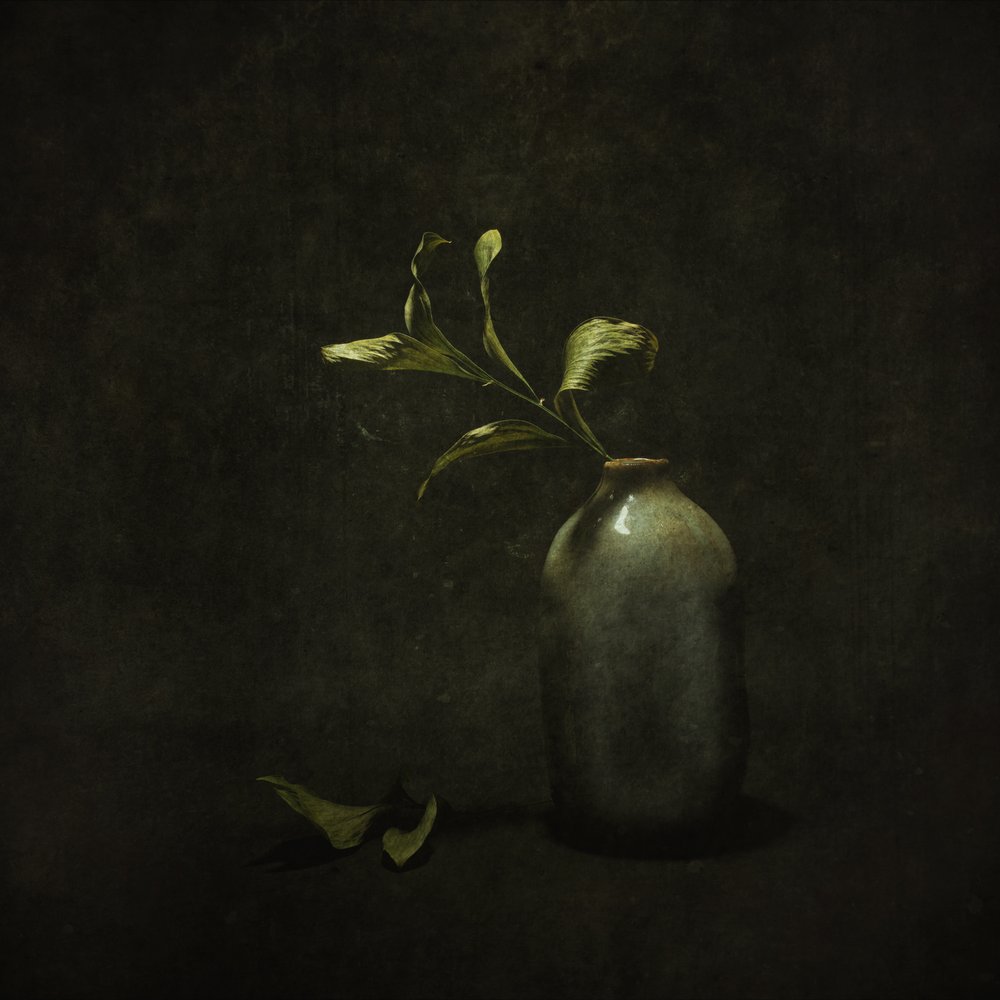 ムーディな植物の静物画 作： 