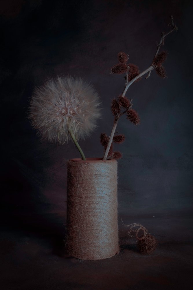 ムーディな植物の静物画 作： 