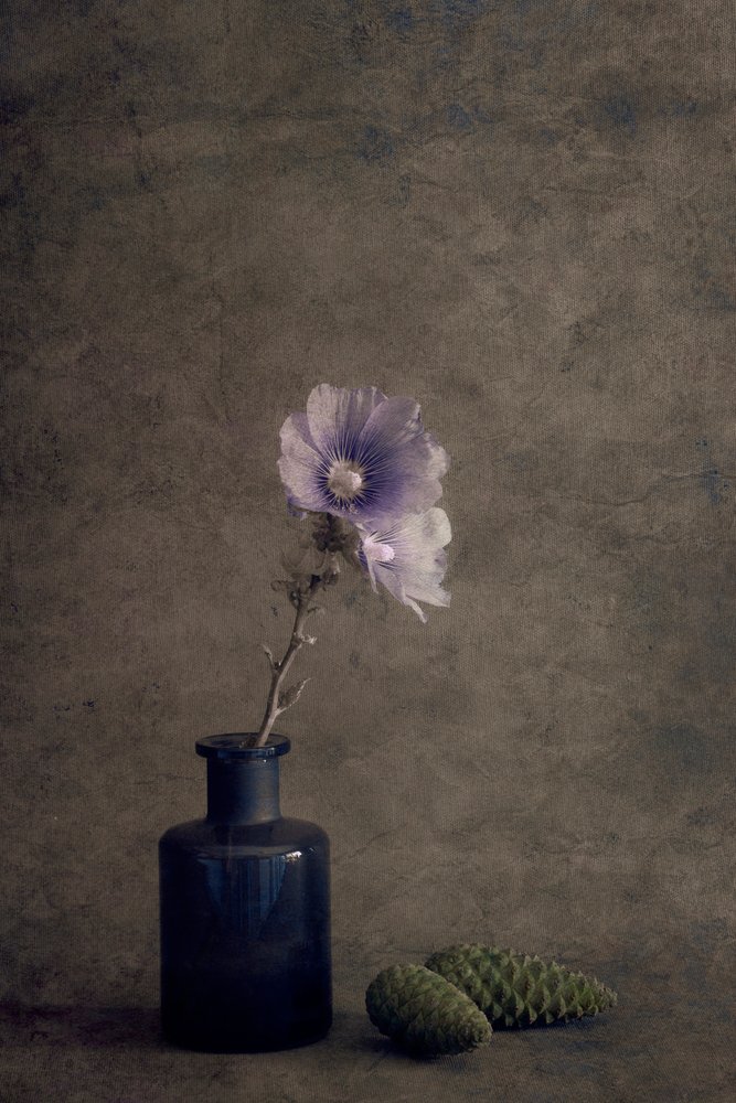 静謐な植物の静物画 作： 