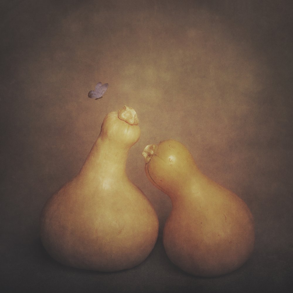 素朴なひょうたんと蝶 作： 