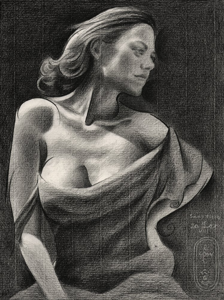 優雅な女性の肖像画 作： 