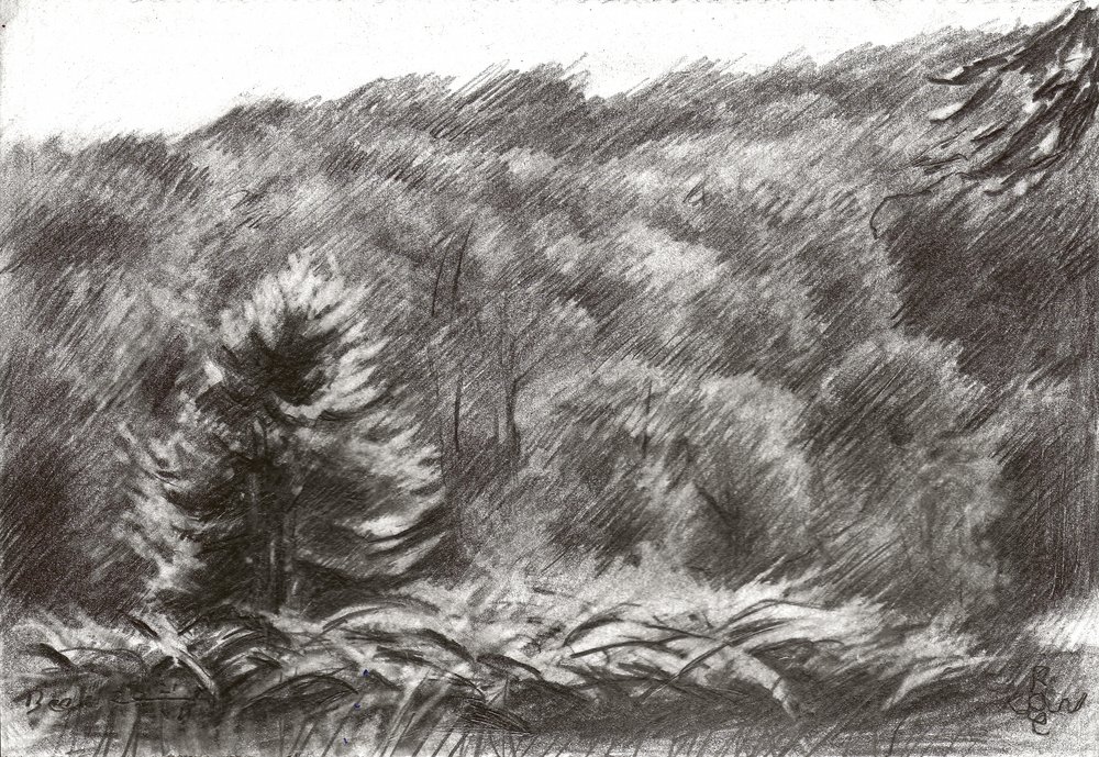 松林の絵 作： 