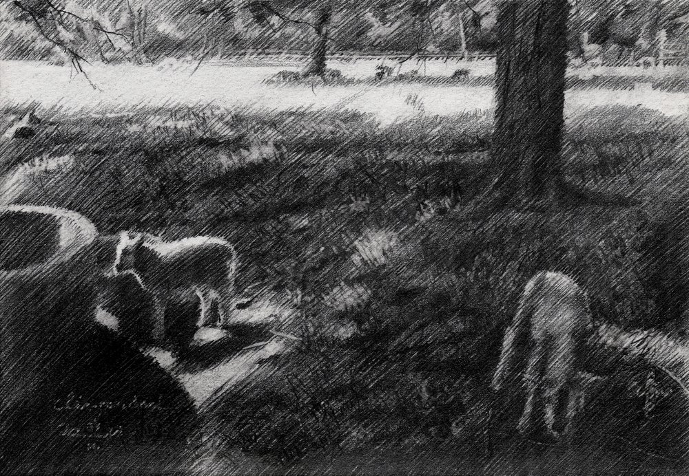  作： 