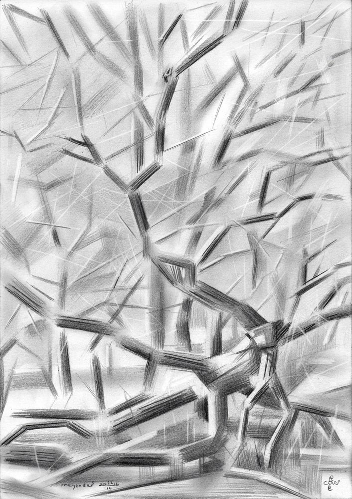  作： 