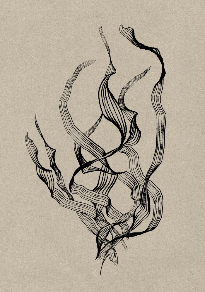  作： 