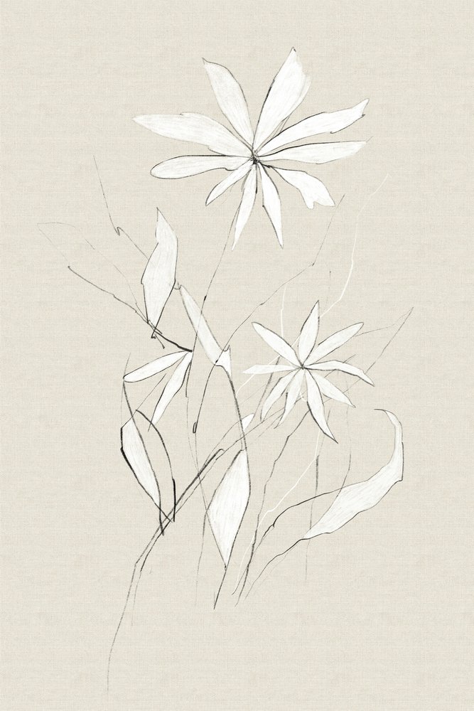  作： 