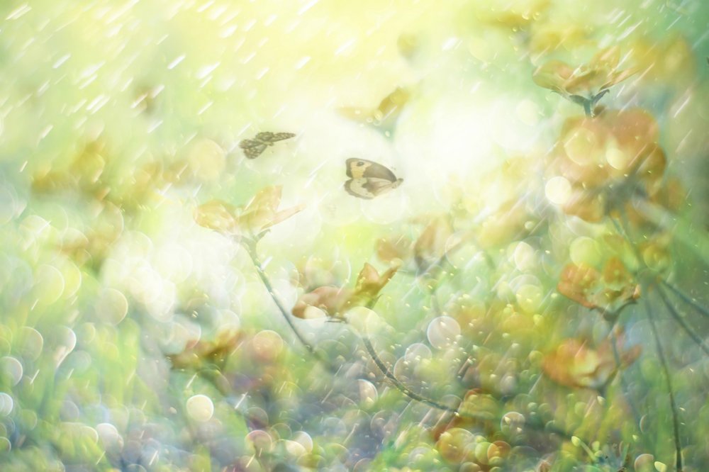  作： 