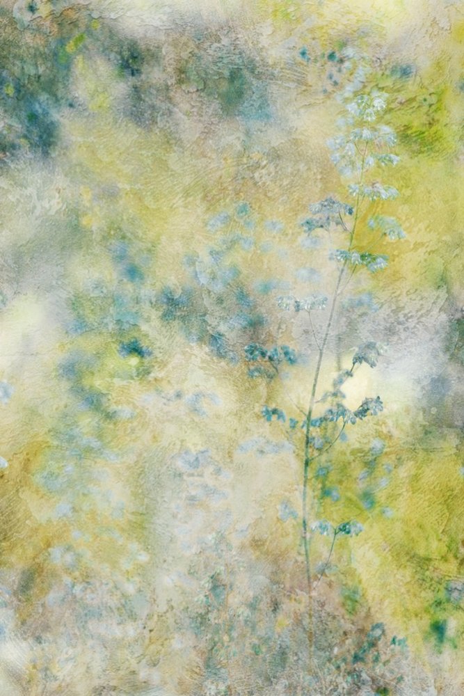 夢のような水彩の花々 作： 