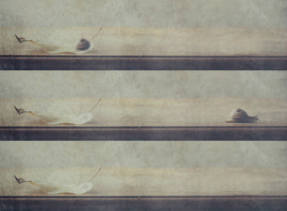  作： 