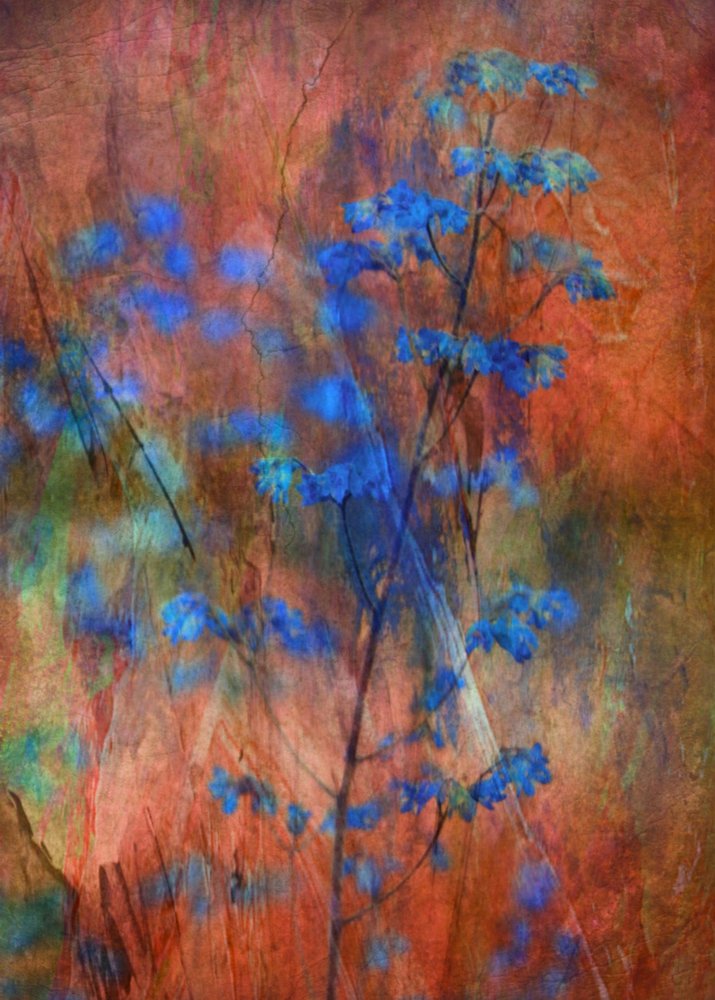  作： 