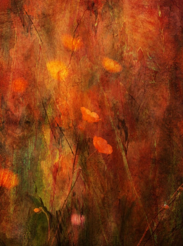  作： 