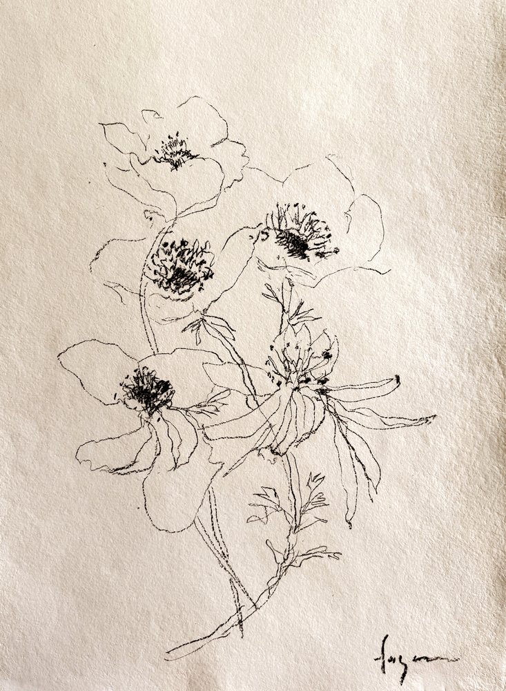 繊細な花のスケッチ 作： 