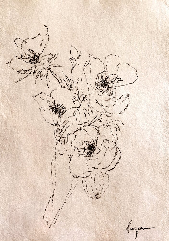 繊細な花のスケッチ 作： 