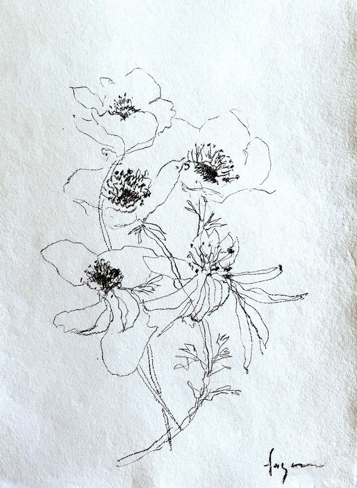 繊細な花のスケッチ 作： 