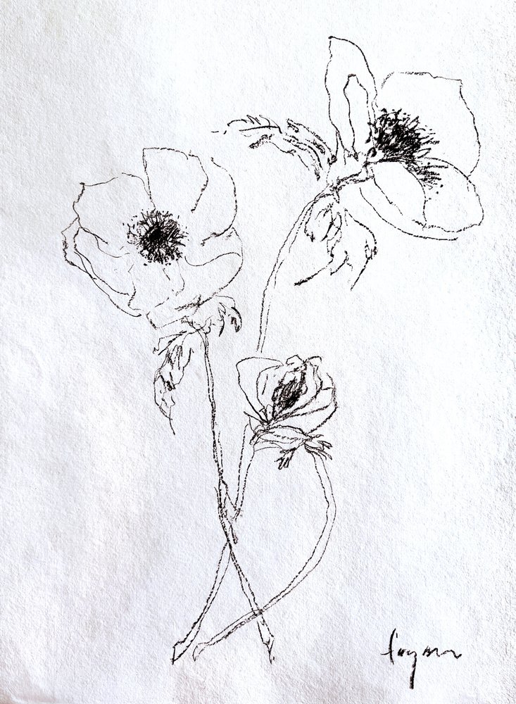 繊細な花のスケッチ 作： 