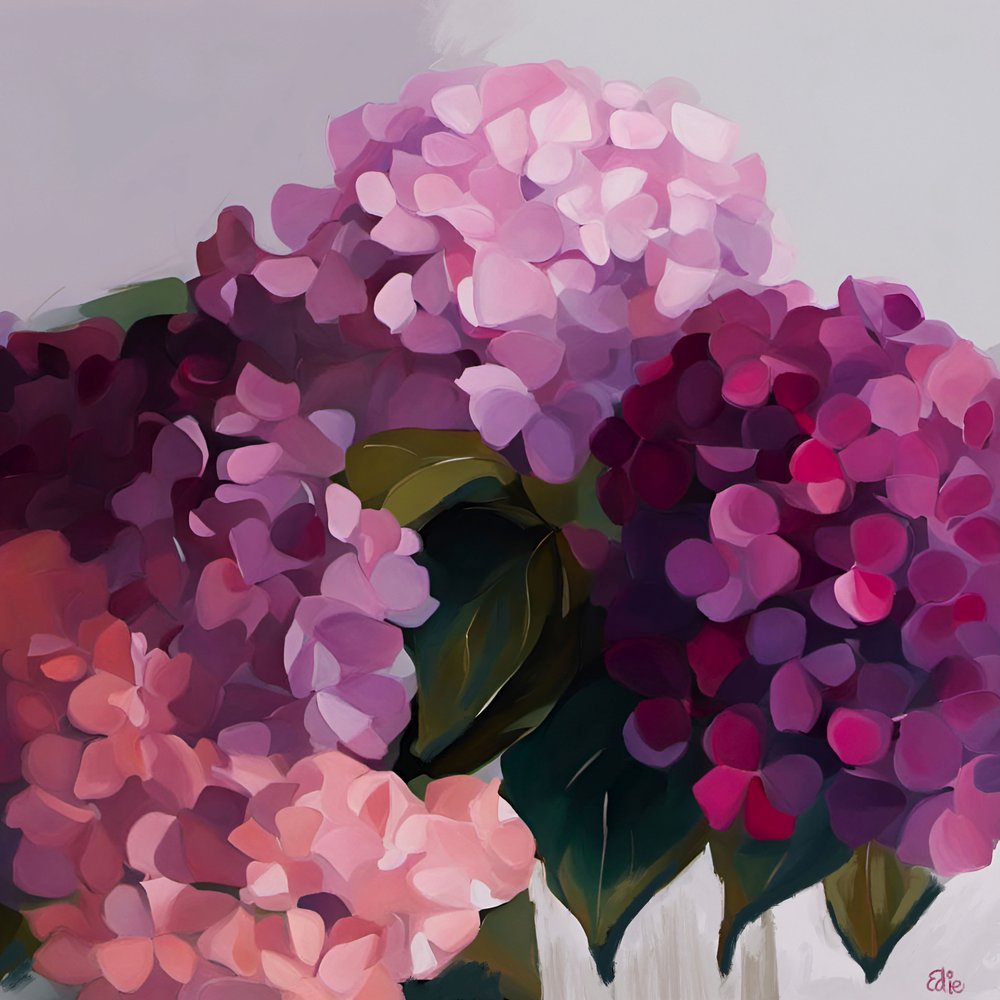鮮やかなアジサイの花 作： 