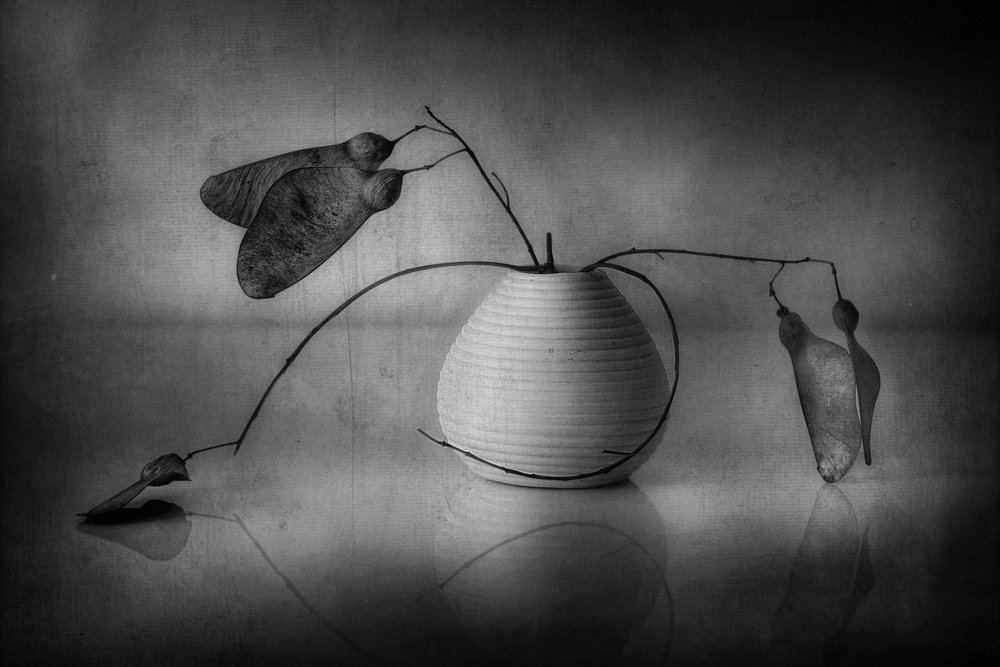 ミニマルな植物の静物画 作： 
