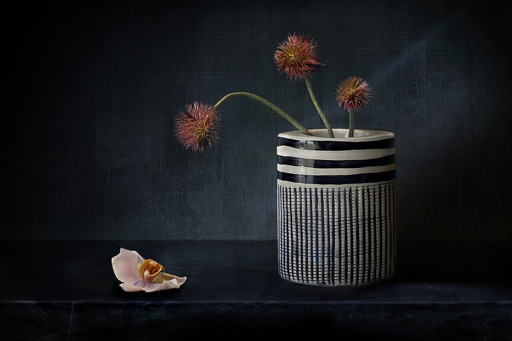 ムードのあるとげのある花 作： 