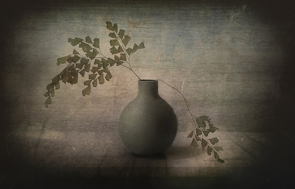 静かなシダの静物画 作： 