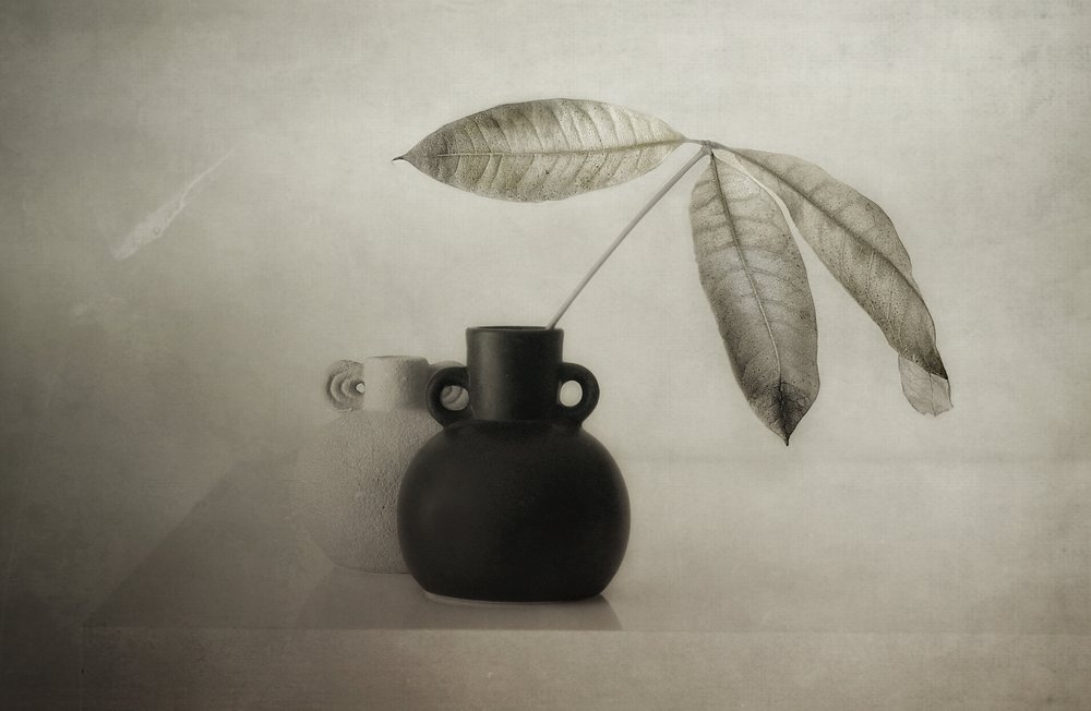 穏やかな植物の静物画 作： 