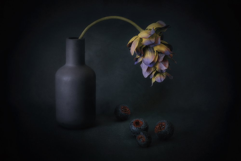 影に包まれた花と実 作： 