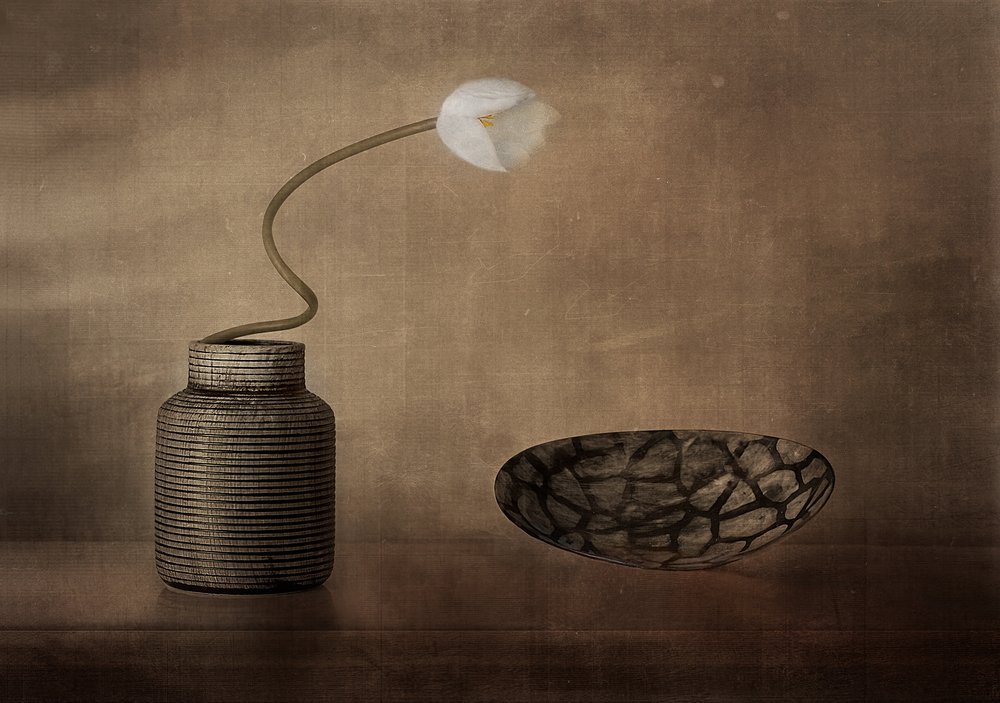 白い花が咲く静物画 作： 