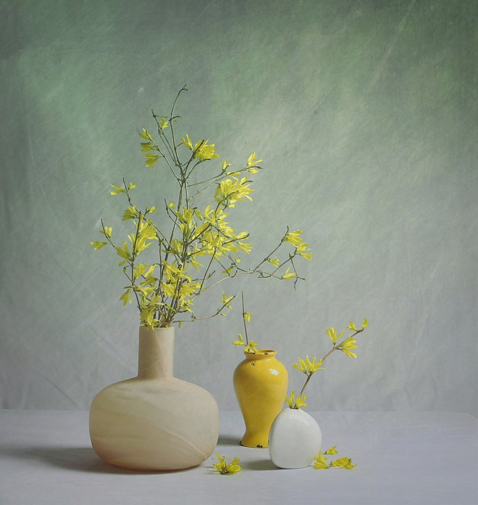 春らしい色鮮やかな花瓶 作： 