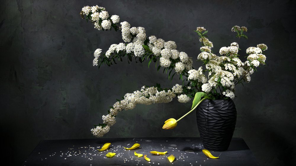 優雅な花の静物画 作： 