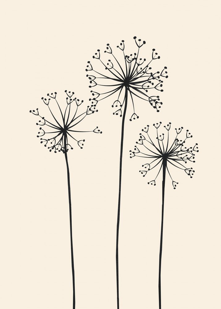 ミニマルなタンポポの花 作： 