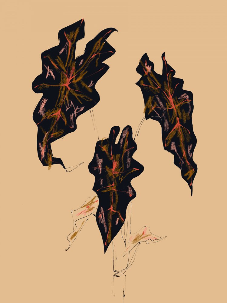  作： 