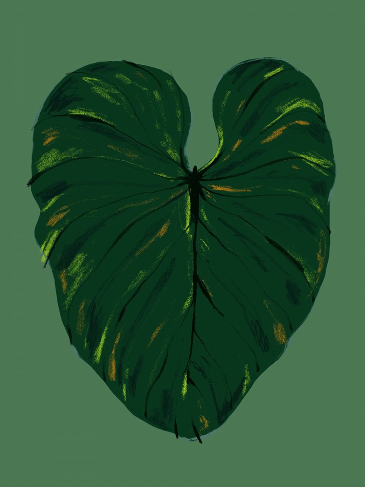  作： 