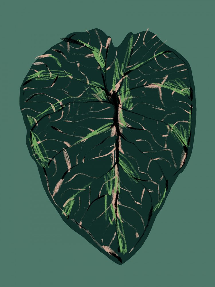  作： 