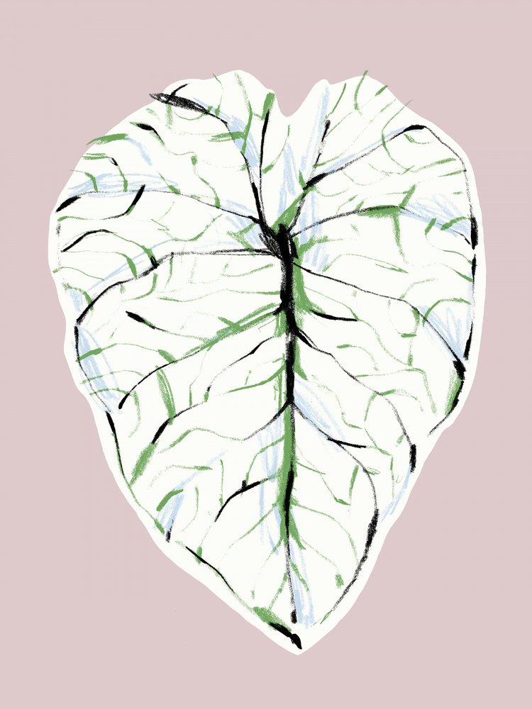  作： 