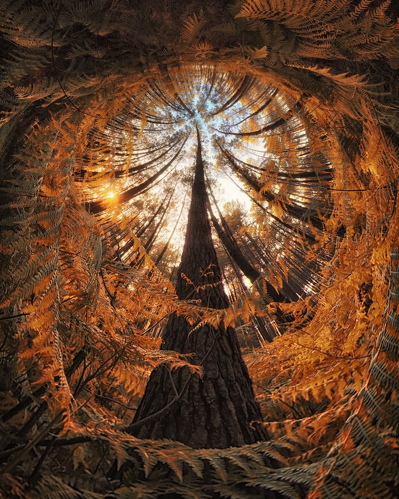  作： 